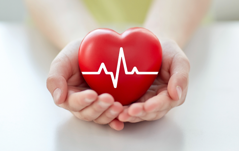A pair of cupped hands holding a red heart-shaped object with a white heartbeat/EKG line graphic across it.